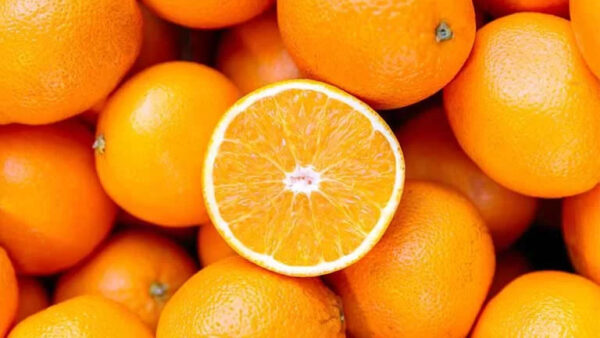 نگهداری پرتقال در نایلون و پلاستیک برای ماندگاری بالا